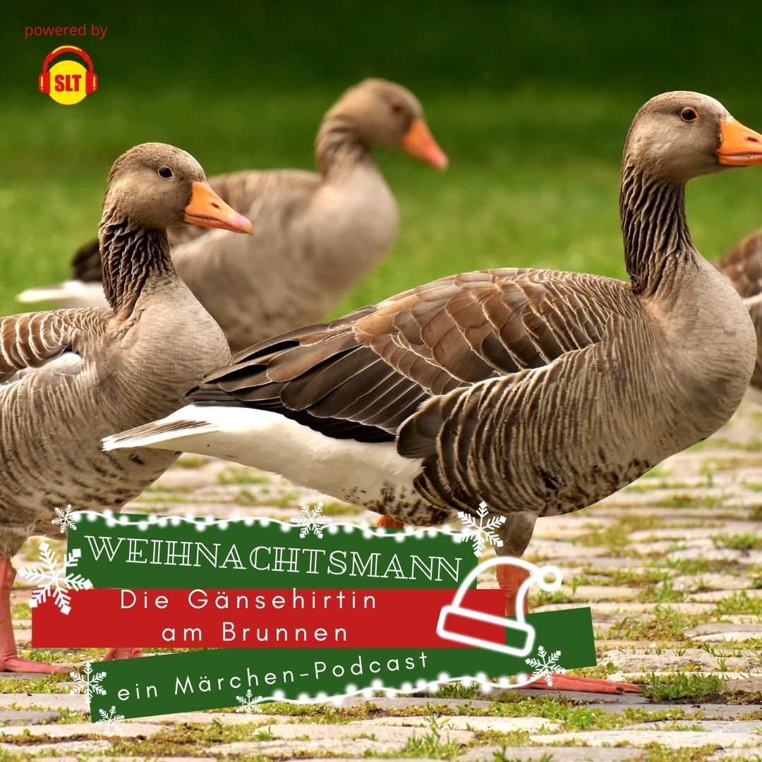 🎅 VWM18 - Die Gänsehirtin am Brunnen episode artwork
