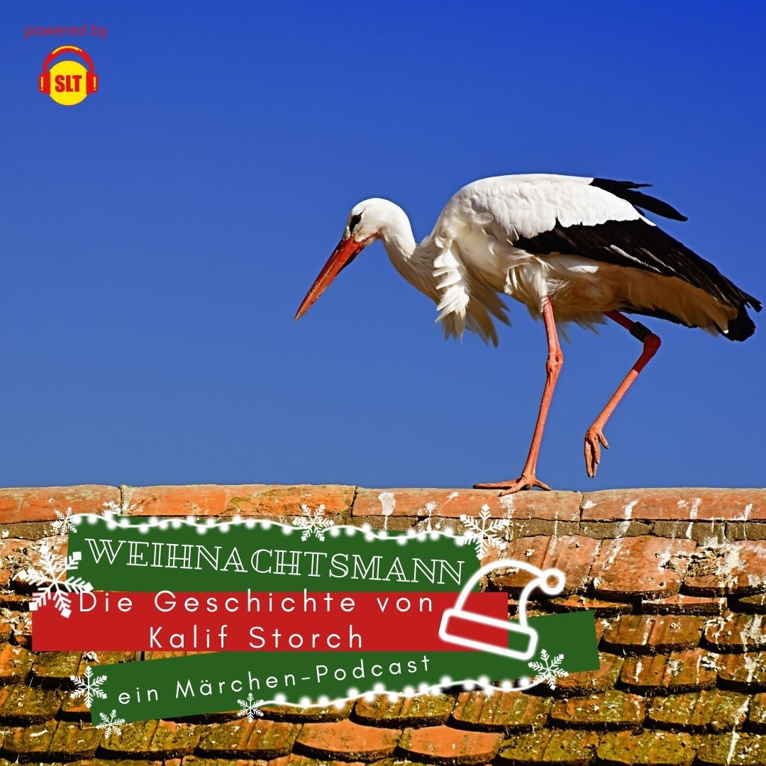 🎅 VWM21 - Die Geschichte von Kalif Storch